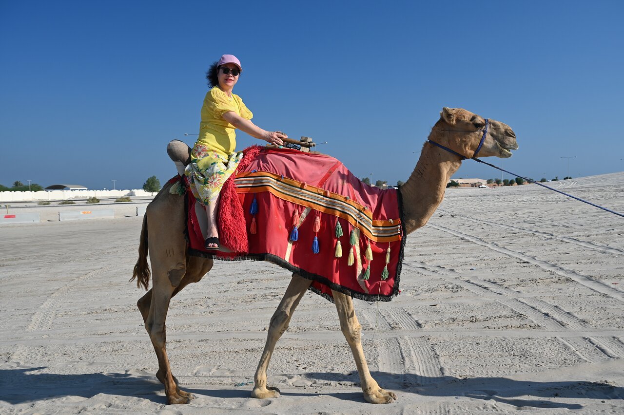 Doha: Private Full - Day Desert Safari, Sandboarding and Buffet Dinner