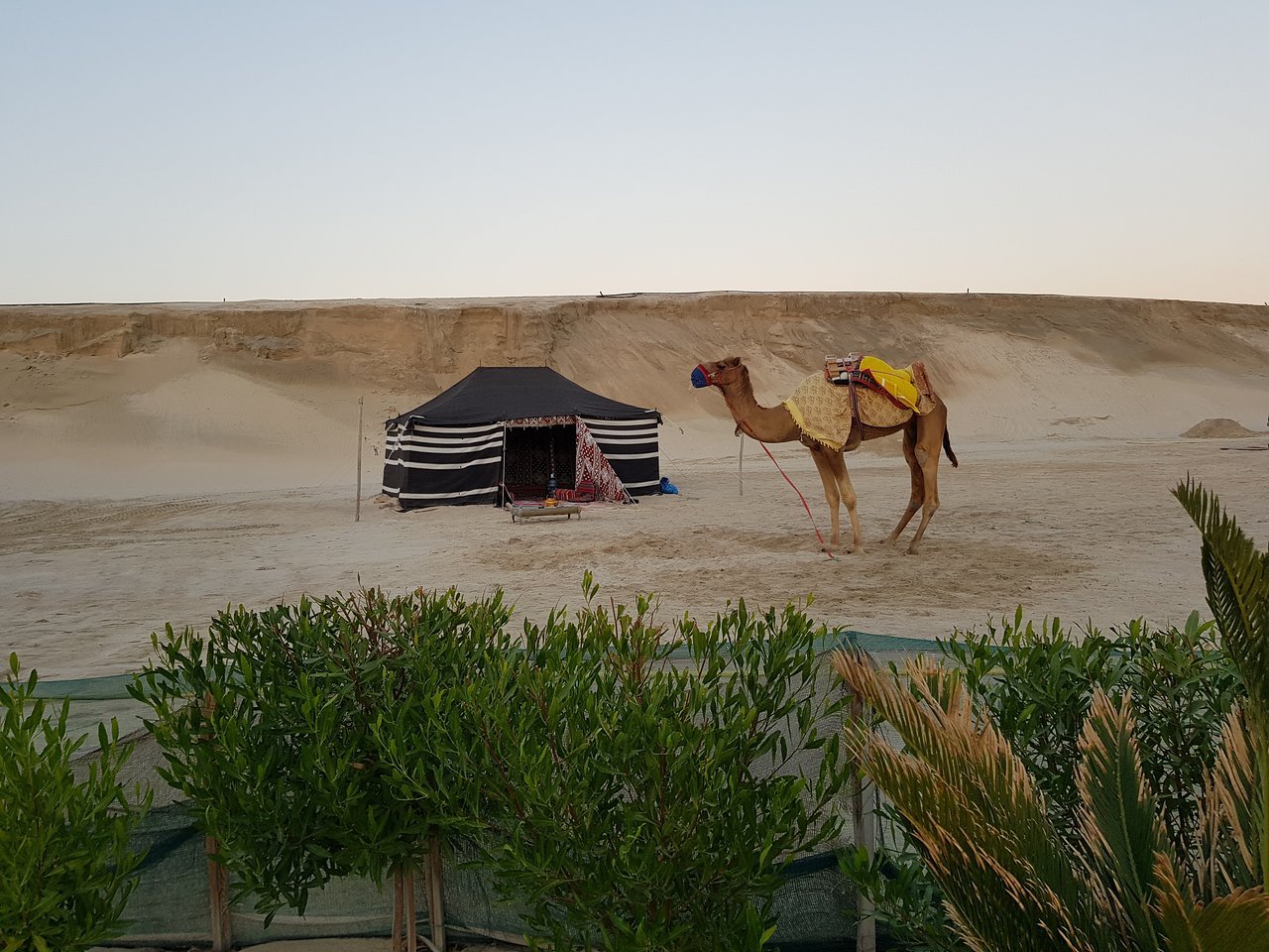 Doha: Private Full - Day Desert Safari, Sandboarding and Buffet Dinner