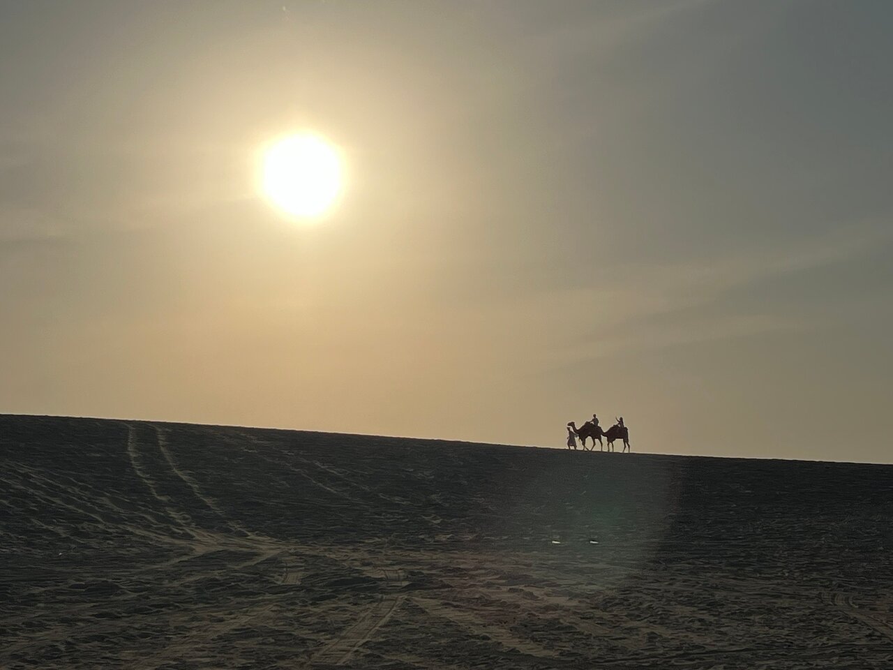 Doha: Private Full - Day Desert Safari, Sandboarding and Buffet Dinner