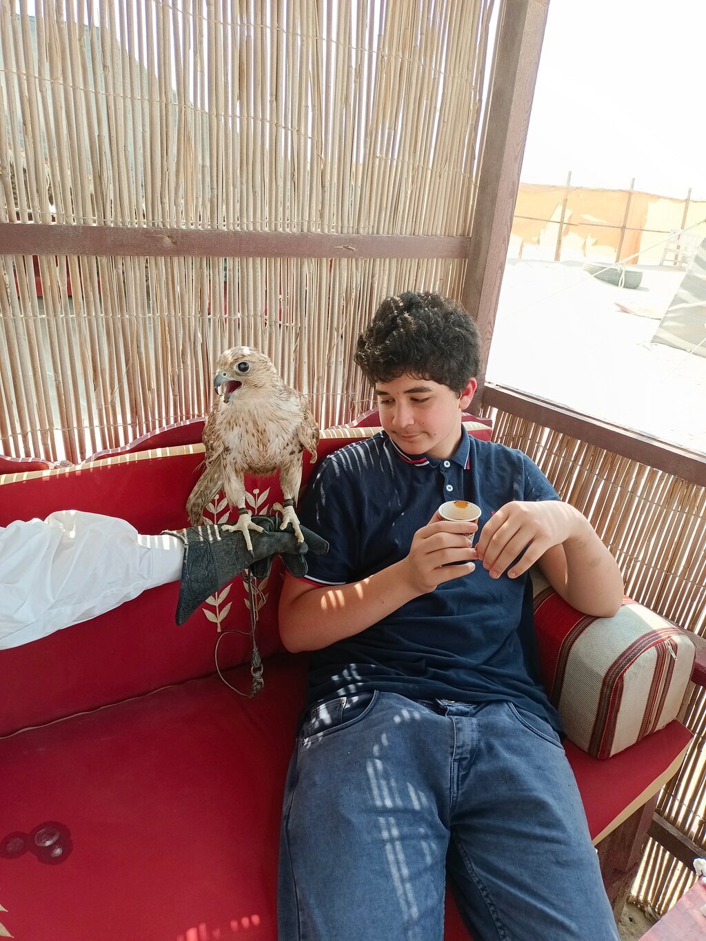 Doha: Private Full - Day Desert Safari, Sandboarding and Buffet Dinner
