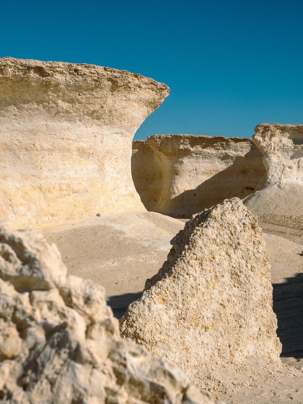 Doha: Private Full - day North and West Qatar Tour