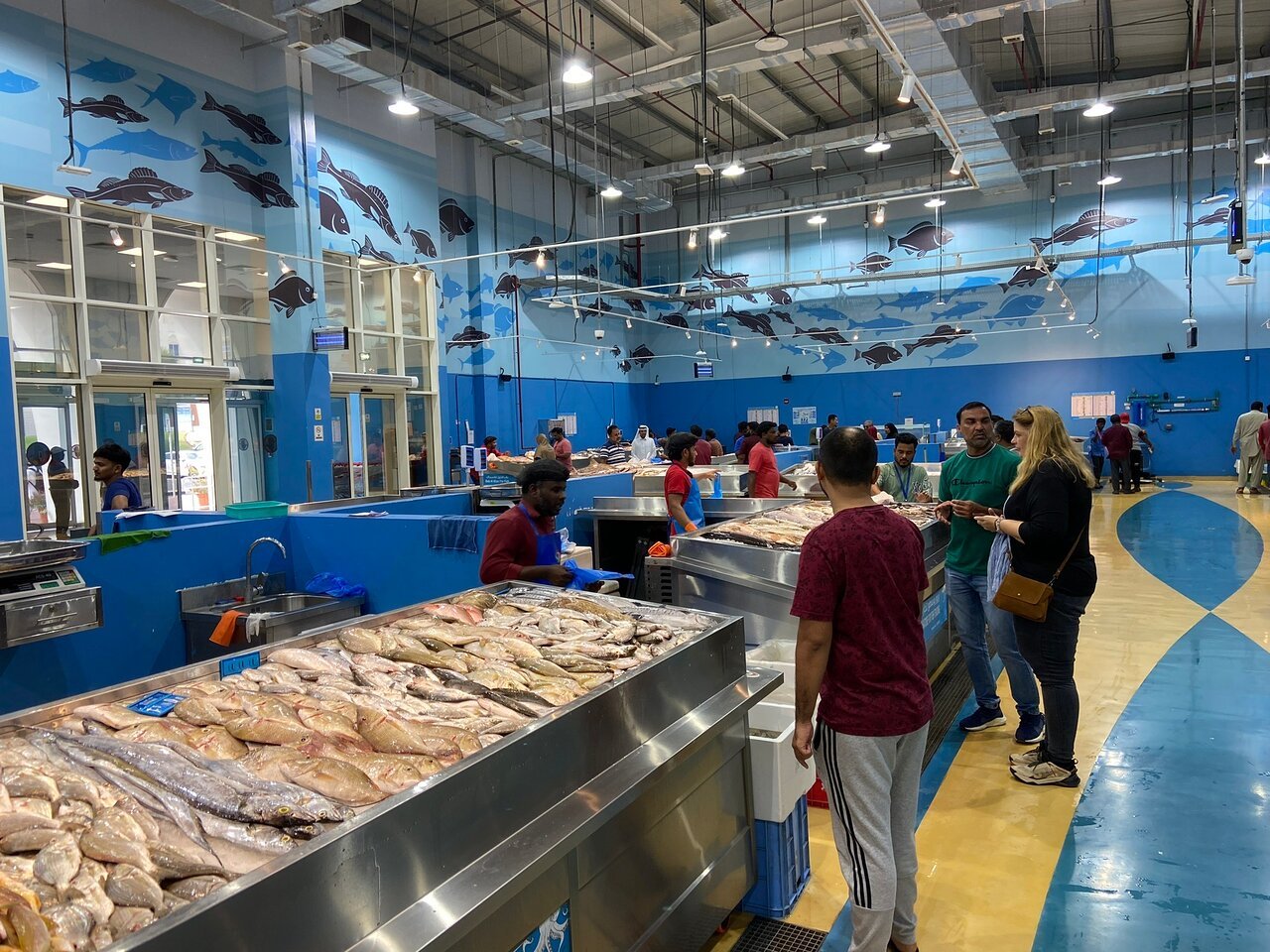 Doha: Private Full - day North and West Qatar Tour