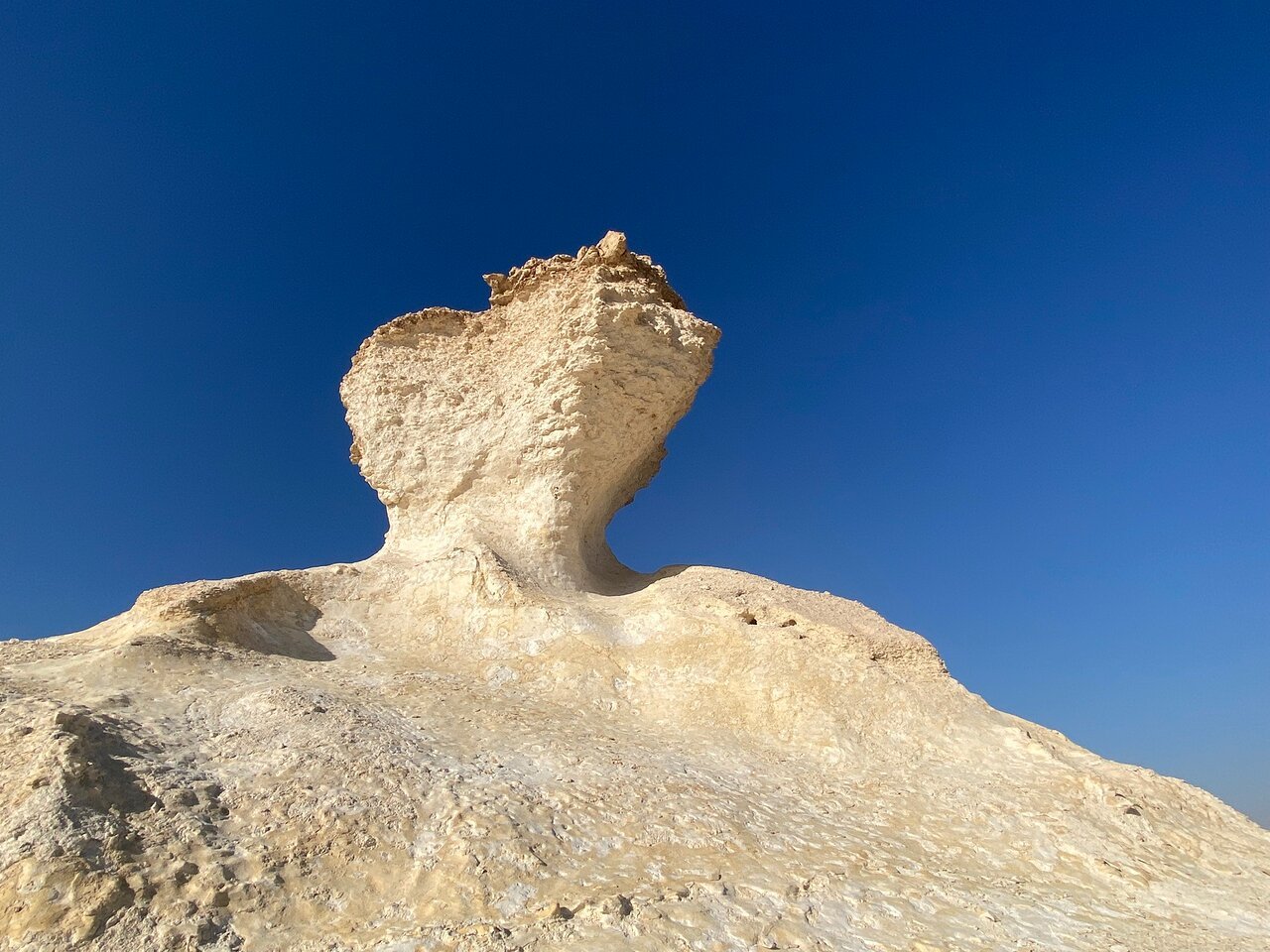 Doha: Private Full - day North and West Qatar Tour