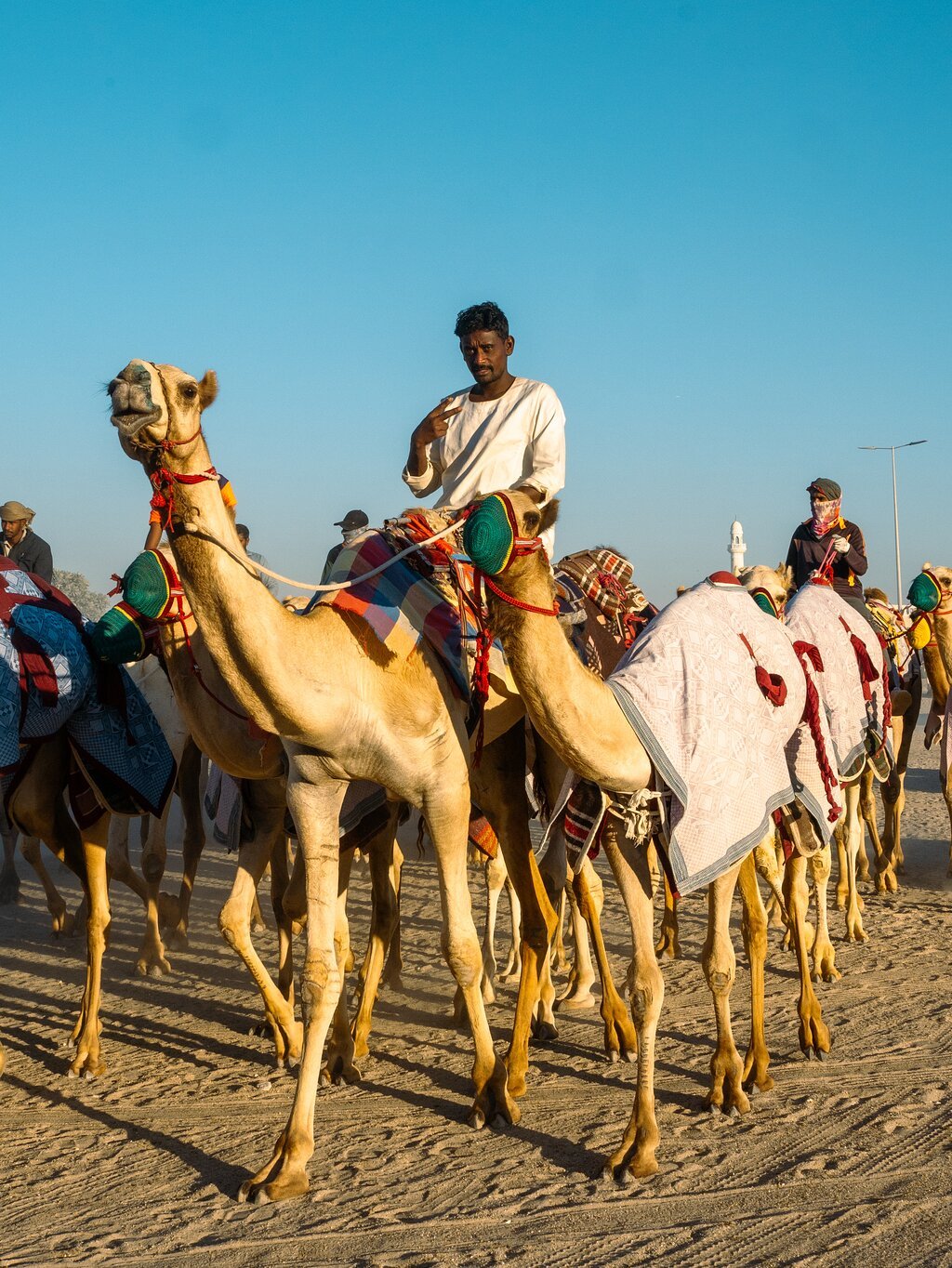 Doha: Private Full - day North and West Qatar Tour