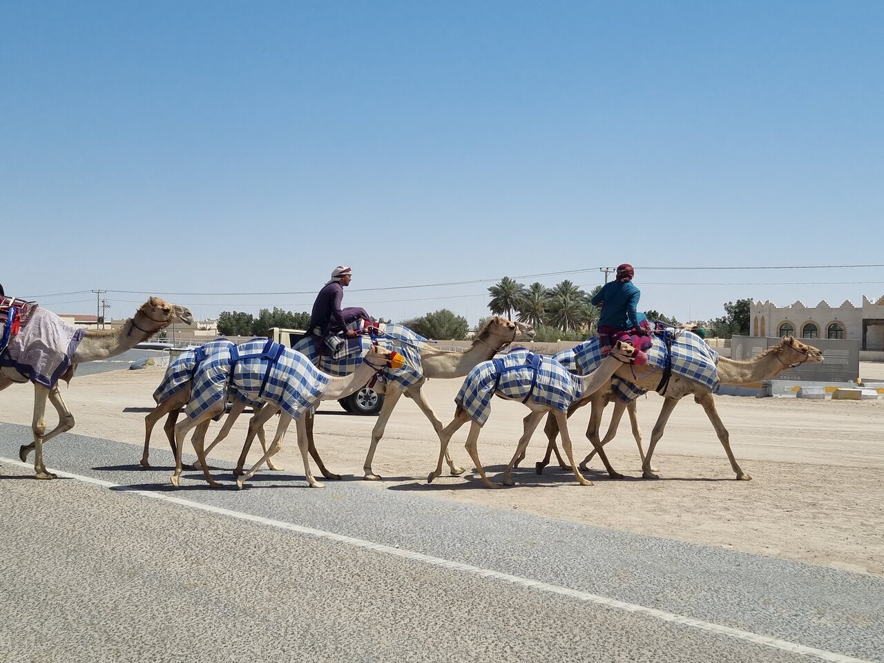 Doha: Private Full - day North and West Qatar Tour