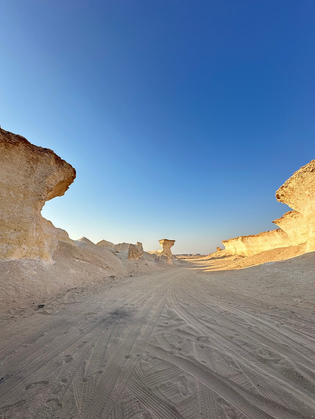 Doha: Private Full - day North and West Qatar Tour