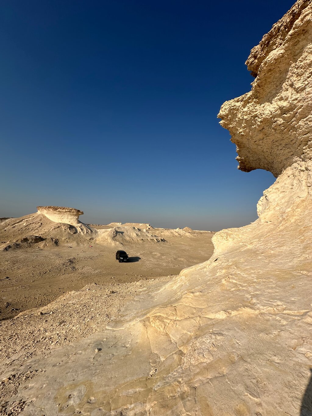 Doha: Private Full - day North and West Qatar Tour