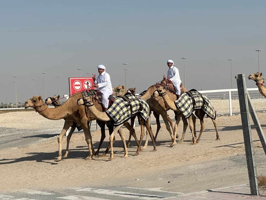 Doha: Private Guided Day tour of Northern and Western Qatar