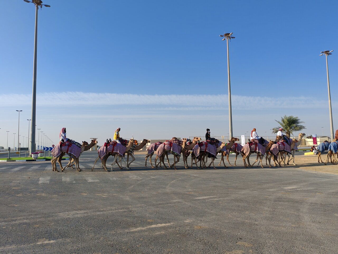 Doha: Private Guided West Coast, Zekreet Fort, Richard Serra Sculpture & Mushroom Hills Tour