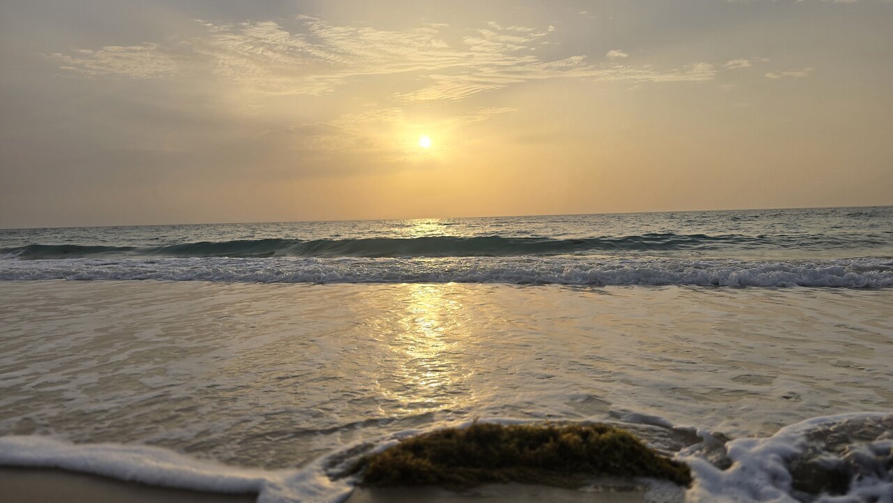 Doha: Private Half - Day Desert Safari and Inland Sea Guided Tour