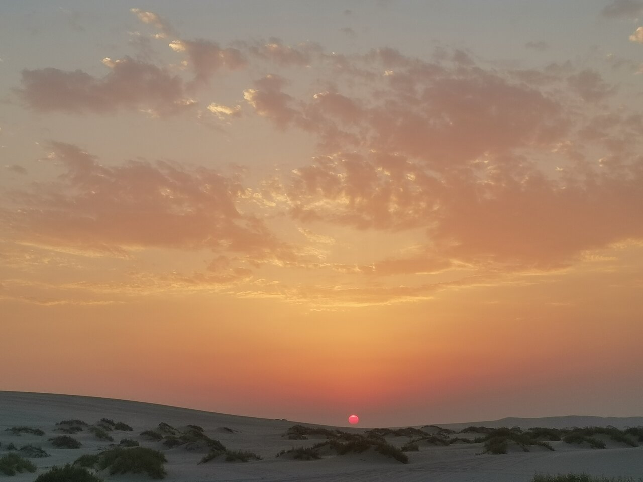 Doha: Private Night Desert Safari, Sandboarding, Camel Ride and Inland Sea Tour