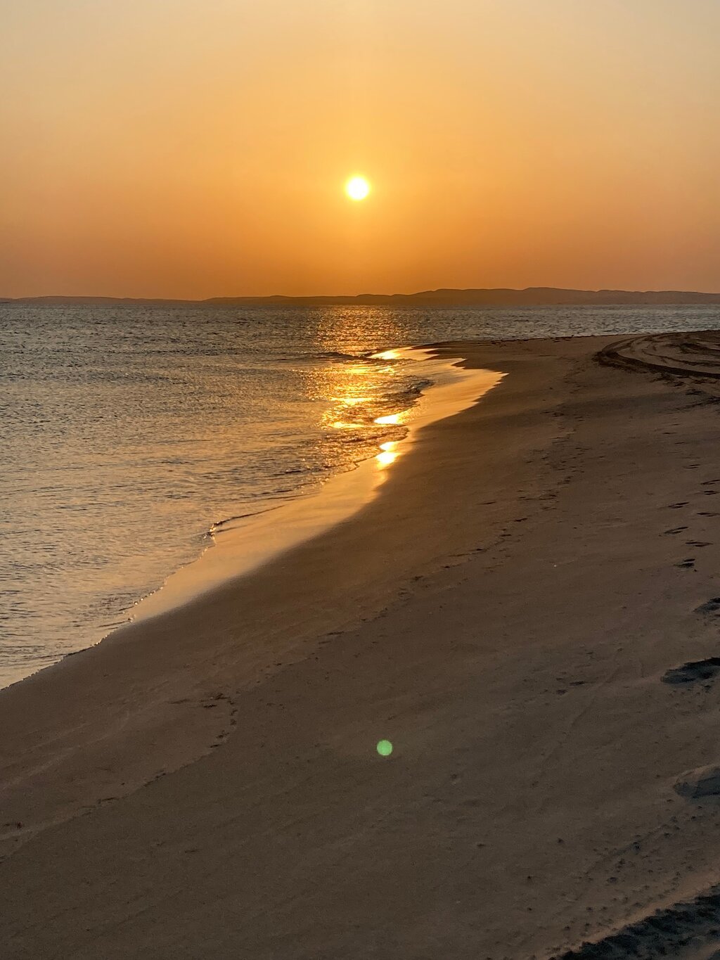 Doha: Shared Tour Half - Day Desert Safari, Sandboarding and Camel Ride
