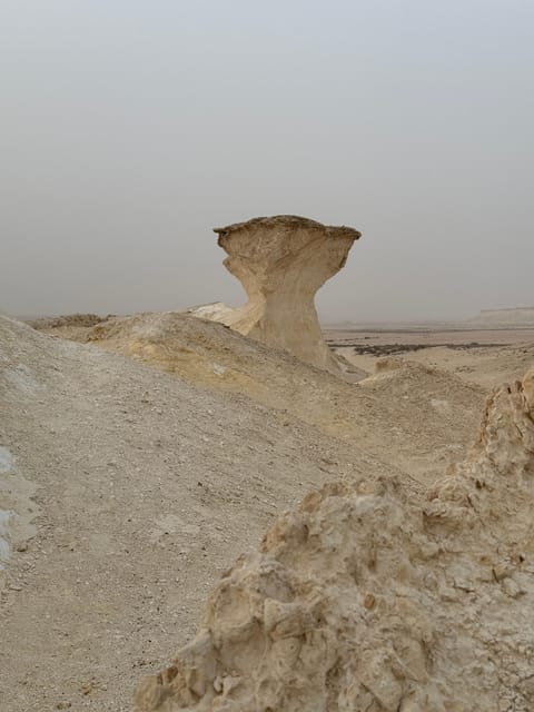 Doha: Western Qatar Desert Tour with Camel Racetrack, Zekreet Fort and Mushroom Rocks