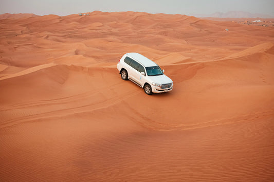 Dubai: Evening Desert Safari with Dune Bashing, Camel Ride and BBQ Dinner