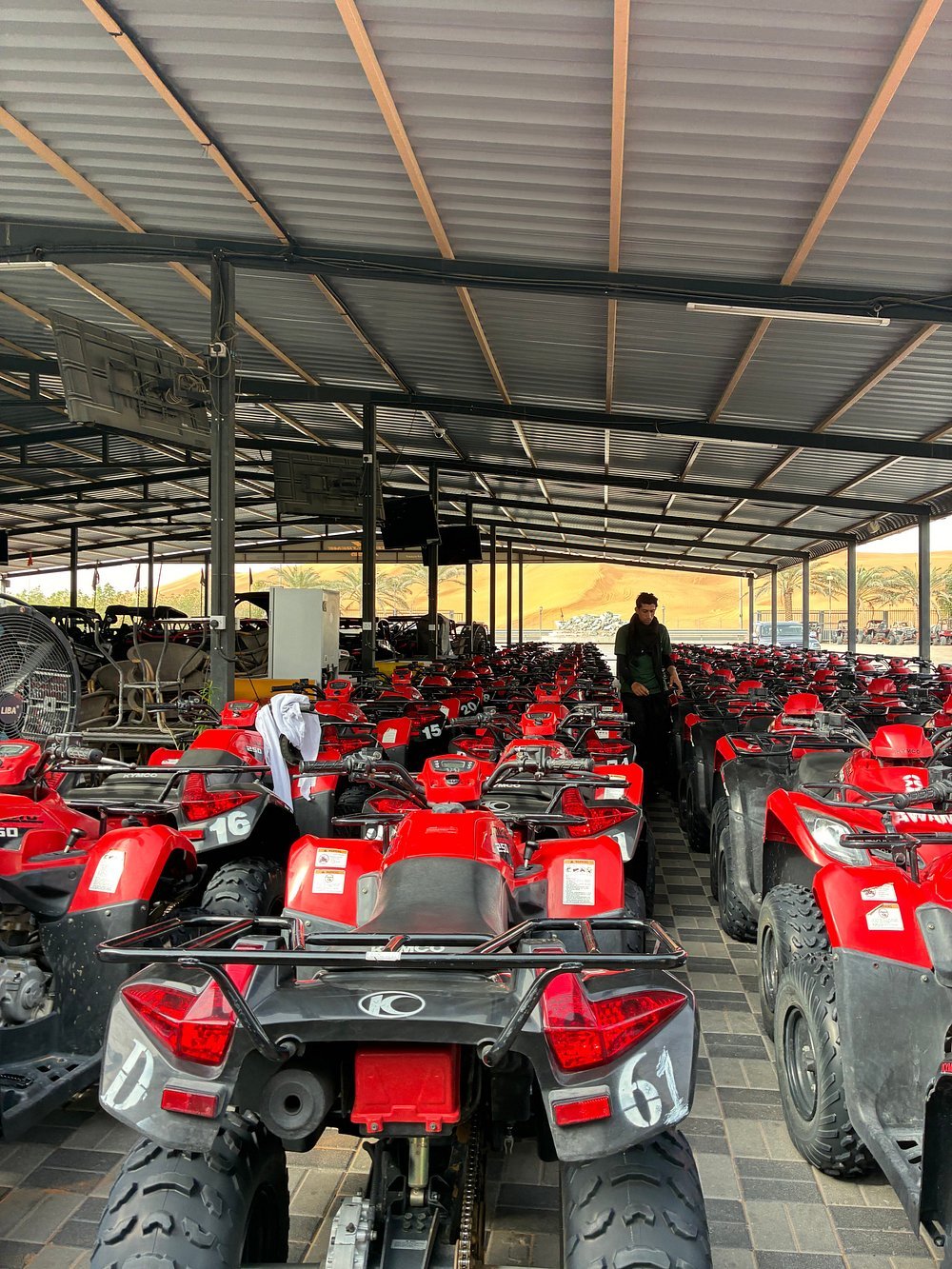 Dubai: Morning Red Dunes Safari with Camel Ride, Sandboarding and Falcon Photo