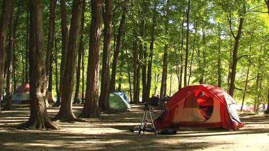 From Bejrutu: Prywatne doświadczenie na kempingu w namiotach