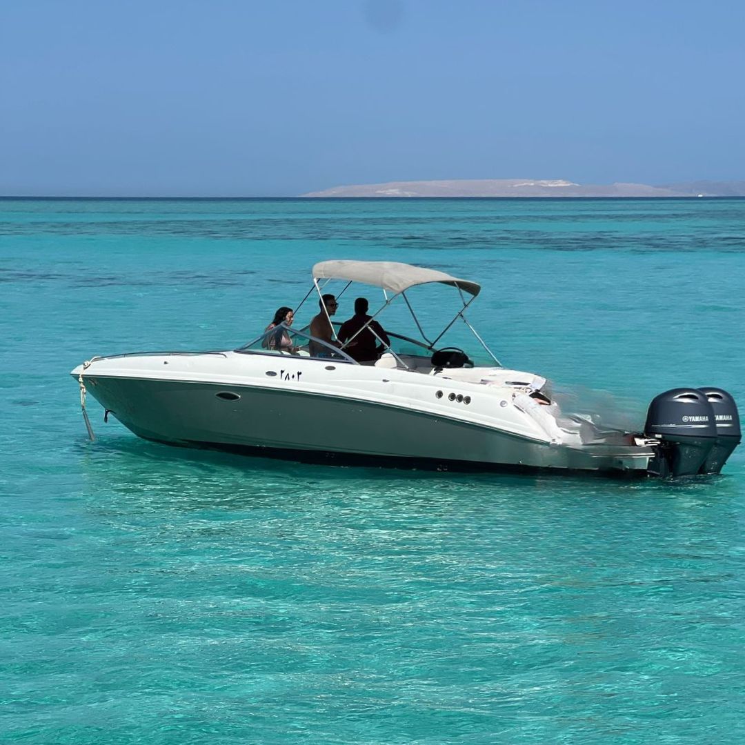 El Gouna: Private Boat Day Trip to Bayoud, Shedwan or Tawilah Island