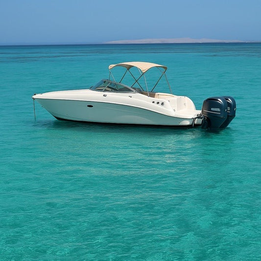 El Gouna: Private Boat Day Trip to Bayoud, Shedwan or Tawilah Island