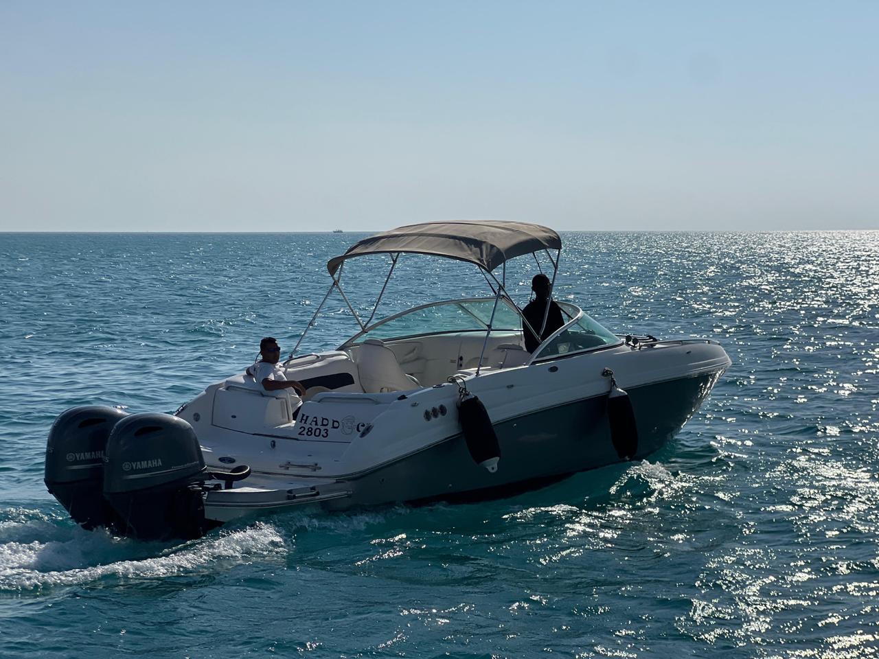 El Gouna: Private Boat Day Trip to Bayoud, Shedwan or Tawilah Island