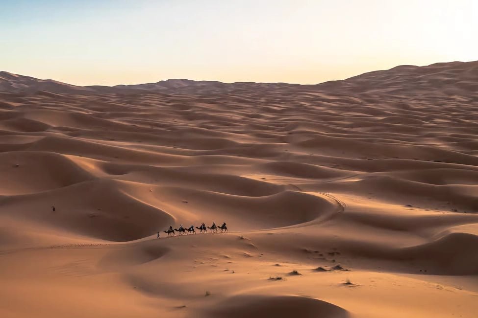 Fez: 2 - Day Sahara Desert Trip to Merzouga with Camel Ride and Luxury Camp