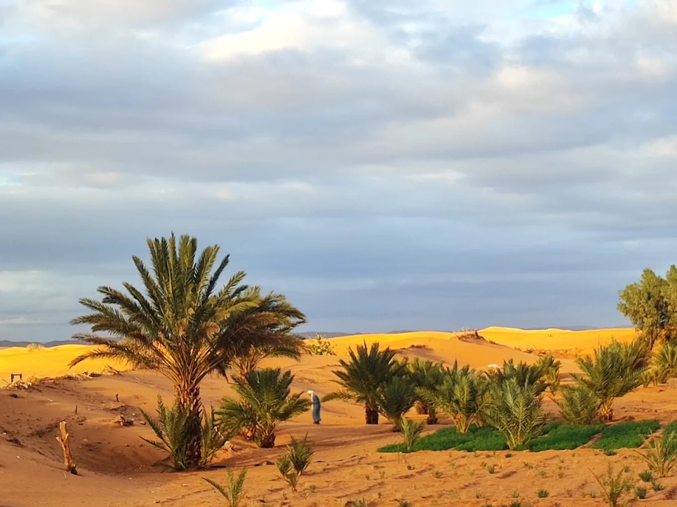 Fez: 2 - Day Sahara Desert Trip to Merzouga with Camel Ride and Luxury Camp
