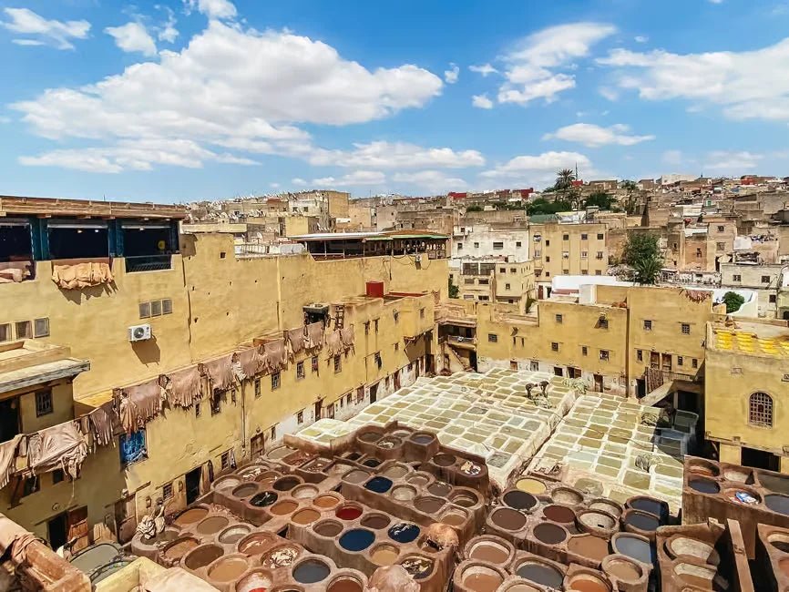 Fez: Medina Walking Tour with Tanneries, Nejjarine Museum, and More