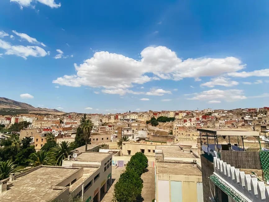 Fez: Medina Walking Tour with Tanneries, Nejjarine Museum, and More