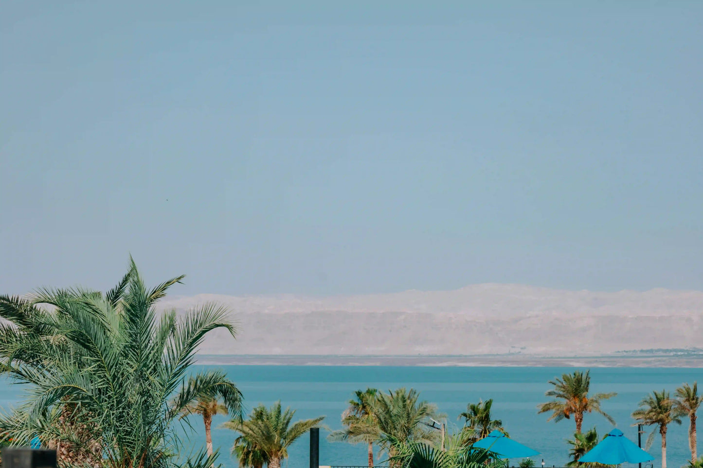 From Amman: Full - Day Private Dead Sea Tour with Optional Resort Access and Lunch