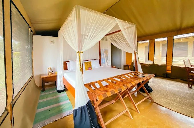 From Arusha: 2 - Days Big 5 Private Safari to Tarangire and Ngorongoro Crater