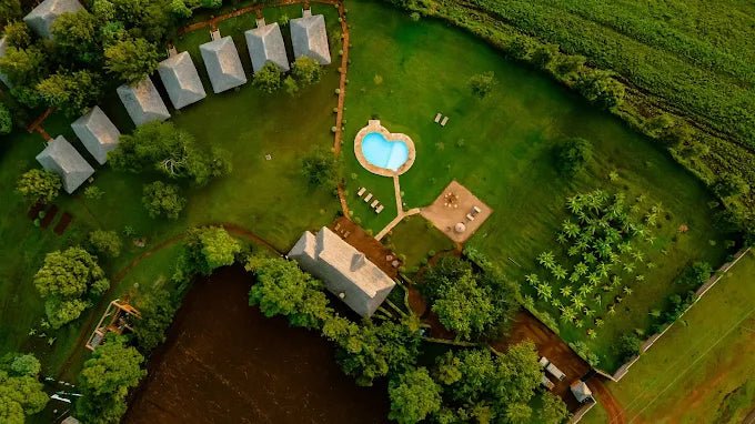 From Arusha: 2 - Days Big 5 Private Safari to Tarangire and Ngorongoro Crater