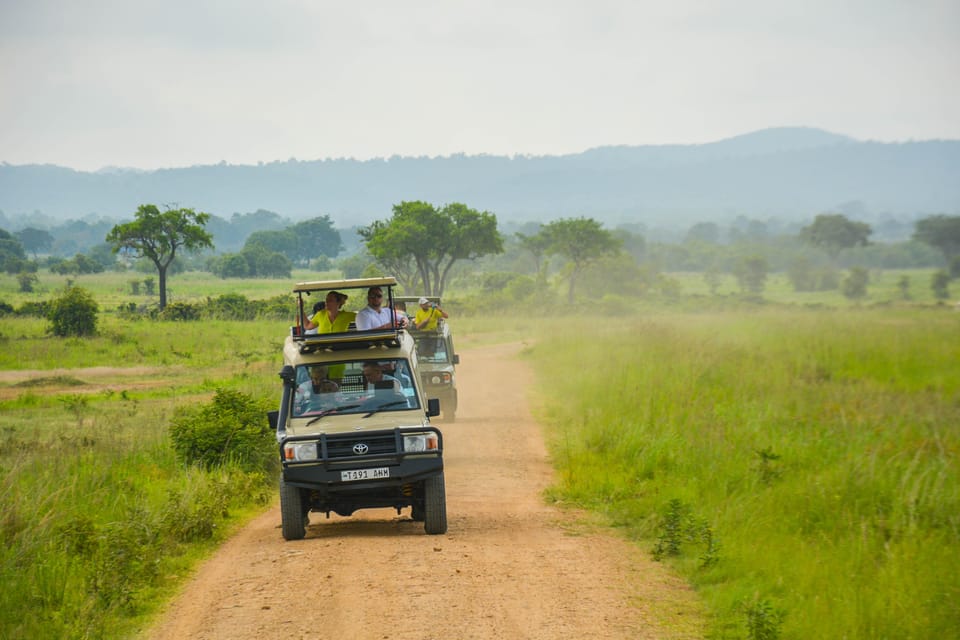 From Arusha: 2 - Days Big 5 Private Safari to Tarangire and Ngorongoro Crater