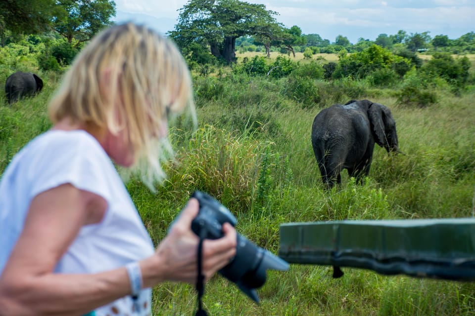 From Arusha: 2 - Days Big 5 Private Safari to Tarangire and Ngorongoro Crater