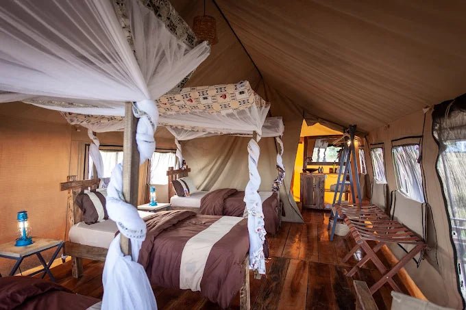 From Arusha: 3 - Days Safari to Serengeti National Park and Ngorongoro Crater