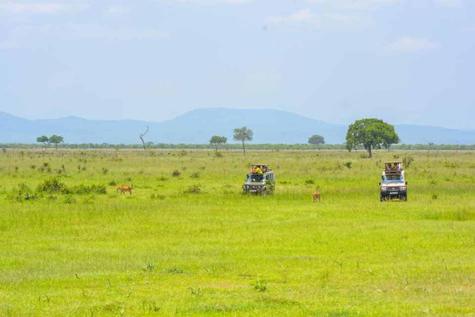 From Arusha: 3 - Days Safari to Serengeti National Park and Ngorongoro Crater