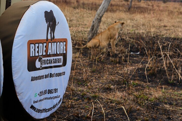 From Arusha: 5 - Day Private Safari to Tarangire, Serengeti, Ngorongoro and Lake Manyara