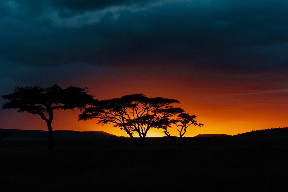 From Arusha: 5 - Day Private Safari to Tarangire, Serengeti, Ngorongoro and Lake Manyara