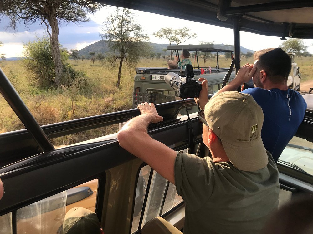 From Arusha: 5 - Day Private Safari to Tarangire, Serengeti, Ngorongoro and Lake Manyara