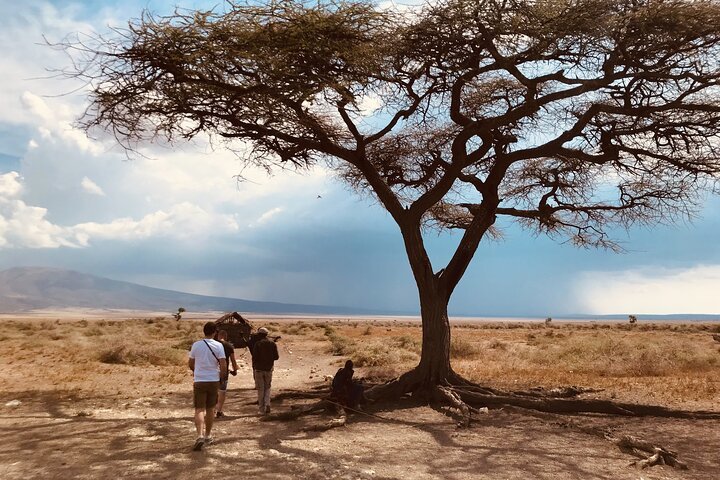 From Arusha: 5 - Day Private Safari to Tarangire, Serengeti, Ngorongoro and Lake Manyara