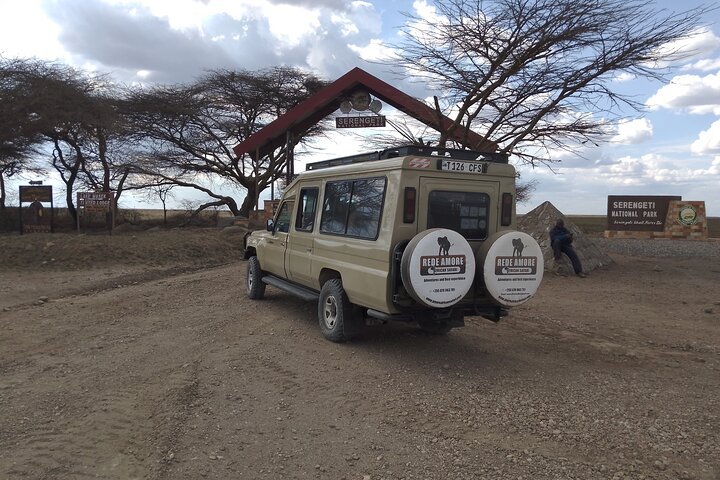 From Arusha: 5 - Day Private Safari to Tarangire, Serengeti, Ngorongoro and Lake Manyara
