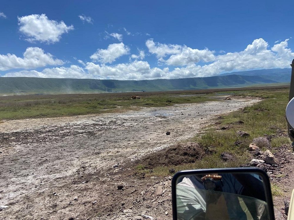 From Arusha: 5 - Day Private Safari to Tarangire, Serengeti, Ngorongoro and Lake Manyara