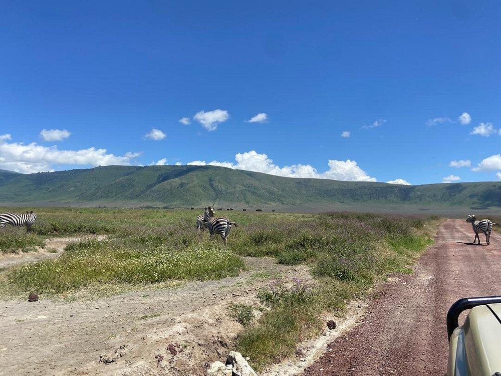 From Arusha: 5 - Day Private Safari to Tarangire, Serengeti, Ngorongoro and Lake Manyara