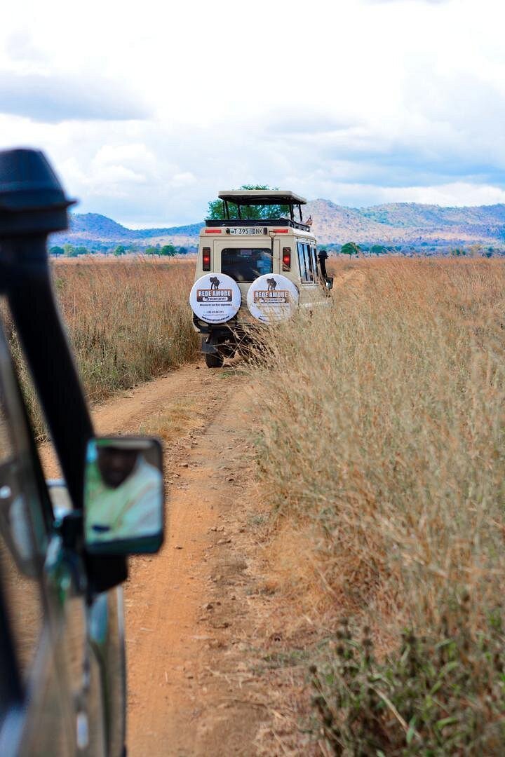 From Arusha: 5 - Day Private Safari to Tarangire, Serengeti, Ngorongoro and Lake Manyara