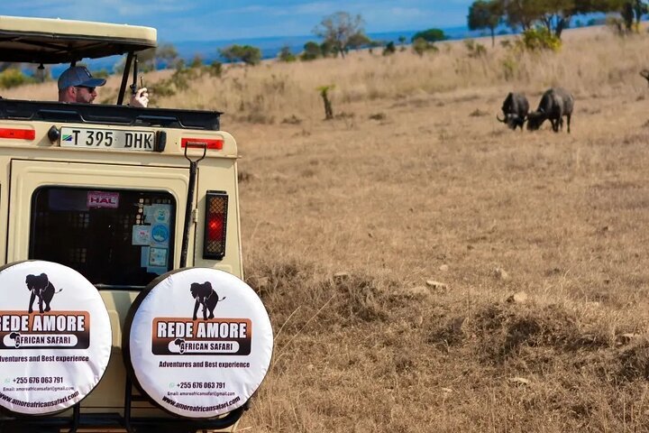 From Arusha: 5 - Day Private Safari to Tarangire, Serengeti, Ngorongoro and Lake Manyara