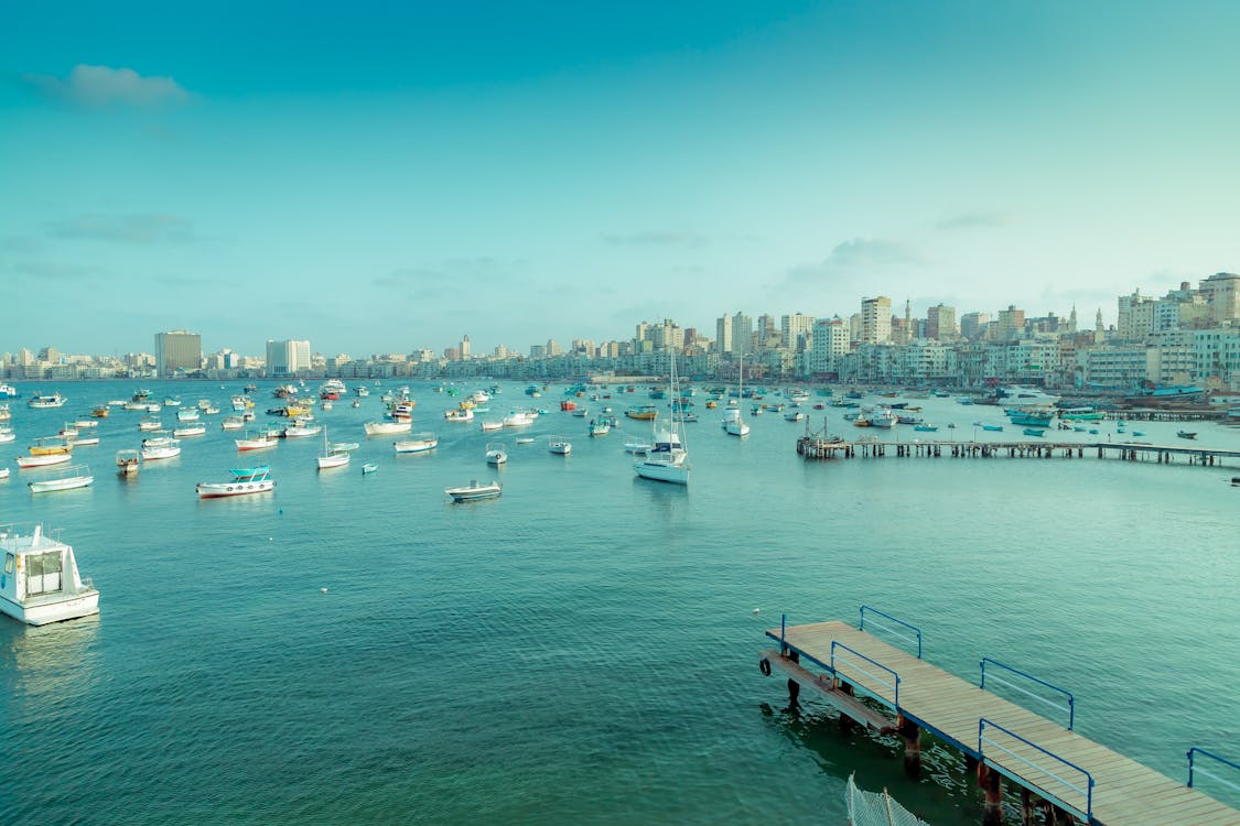 From Cairo: Private Day Tour to Alexandria with City Highlights