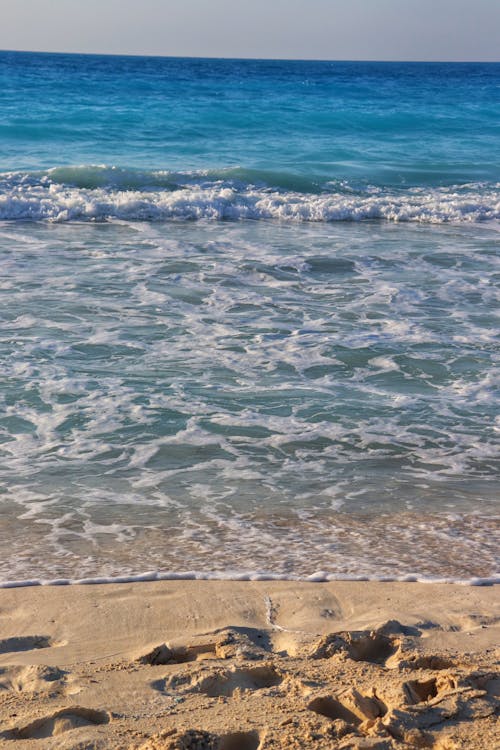 From Cairo: Private Day Tour to Alexandria with City Highlights