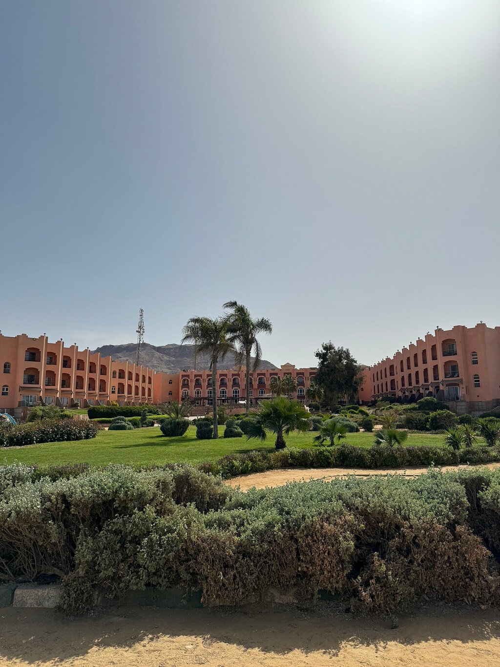 From Cairo: Private Day Tour To Red Sea in Ain Sukhna