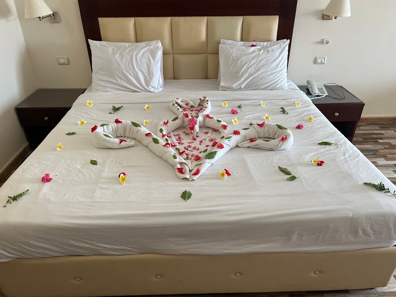 From Cairo: Private Day Tour To Red Sea in Ain Sukhna