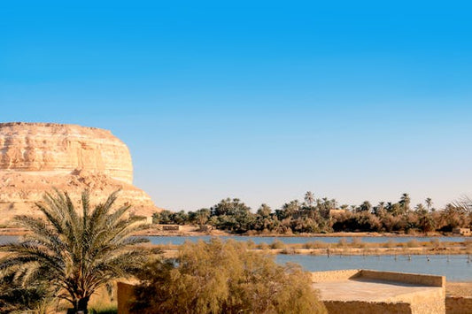 From Cairo: Private Guided 2 - Day All - Inclusive Siwa Oasis Tour