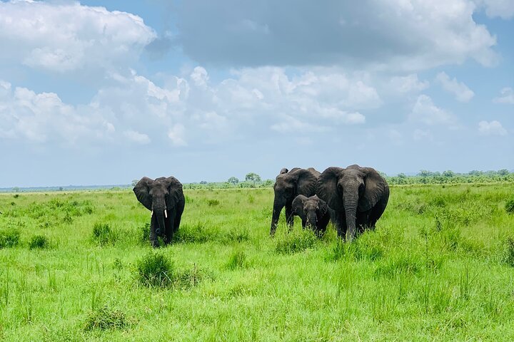 From Dar es Salaam: 2 - Days Mikumi National Park Private Safari