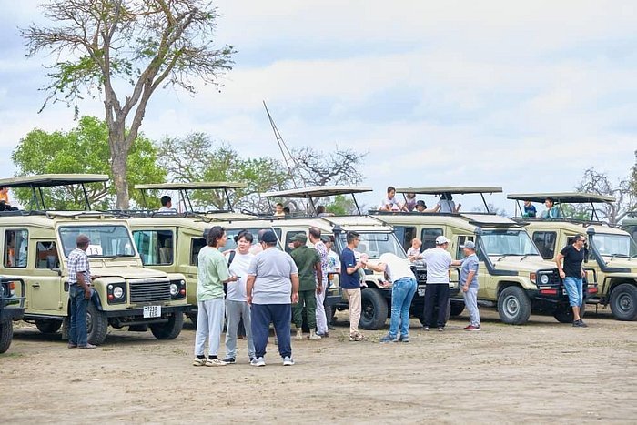 From Dar es Salaam: 2 - Days Mikumi National Park Private Safari